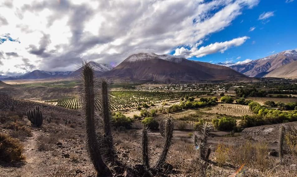 En este momento estás viendo 10 cosas que hacer en Valle del Elqui, Chile